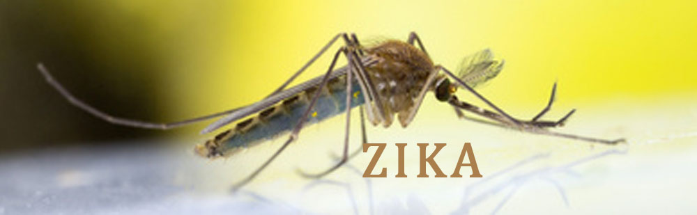 Zika Virus in Cayman Islands